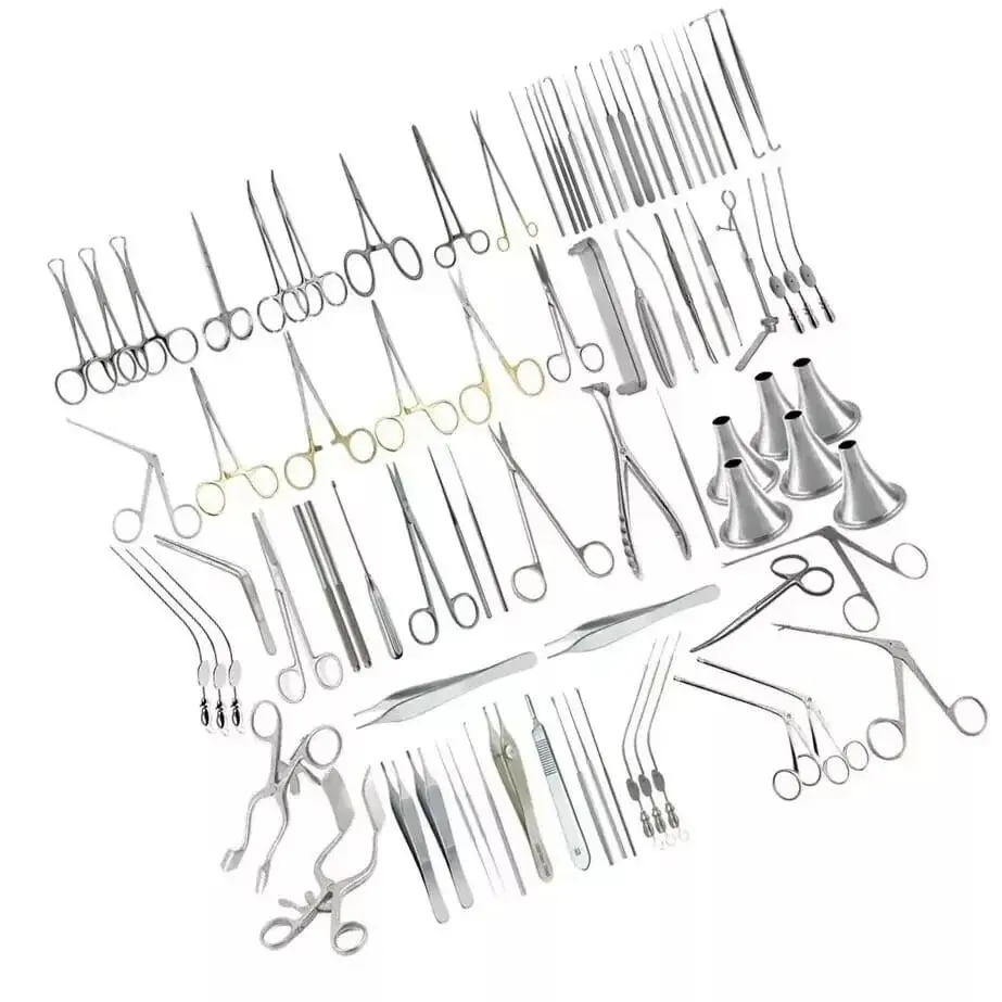 WhatsApp Image 2025-08-05 at 11.09.11.webp