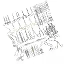 WhatsApp Image 2025-08-05 at 11.09.11.webp